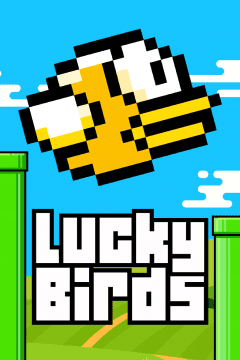 Lucky Birds